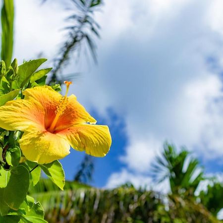 فيلا كاريوشي كوندومينيوم مايزون ماكس Okinawa المظهر الخارجي الصورة