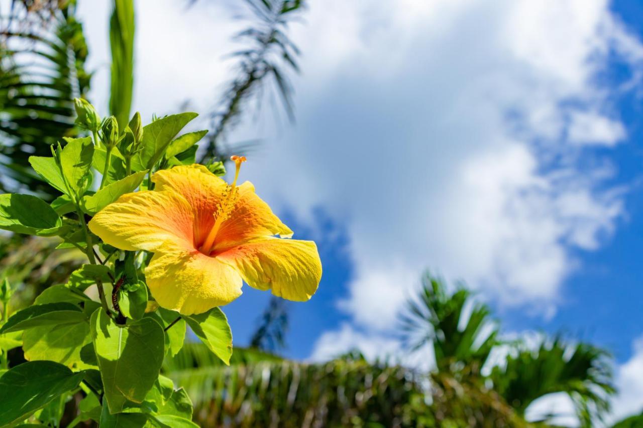 فيلا كاريوشي كوندومينيوم مايزون ماكس Okinawa المظهر الخارجي الصورة